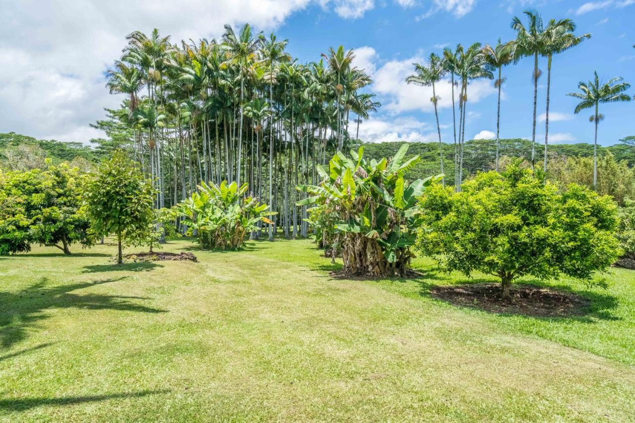 Old Hawaiian Bed And Breakfast Hilo Exteriér fotografie